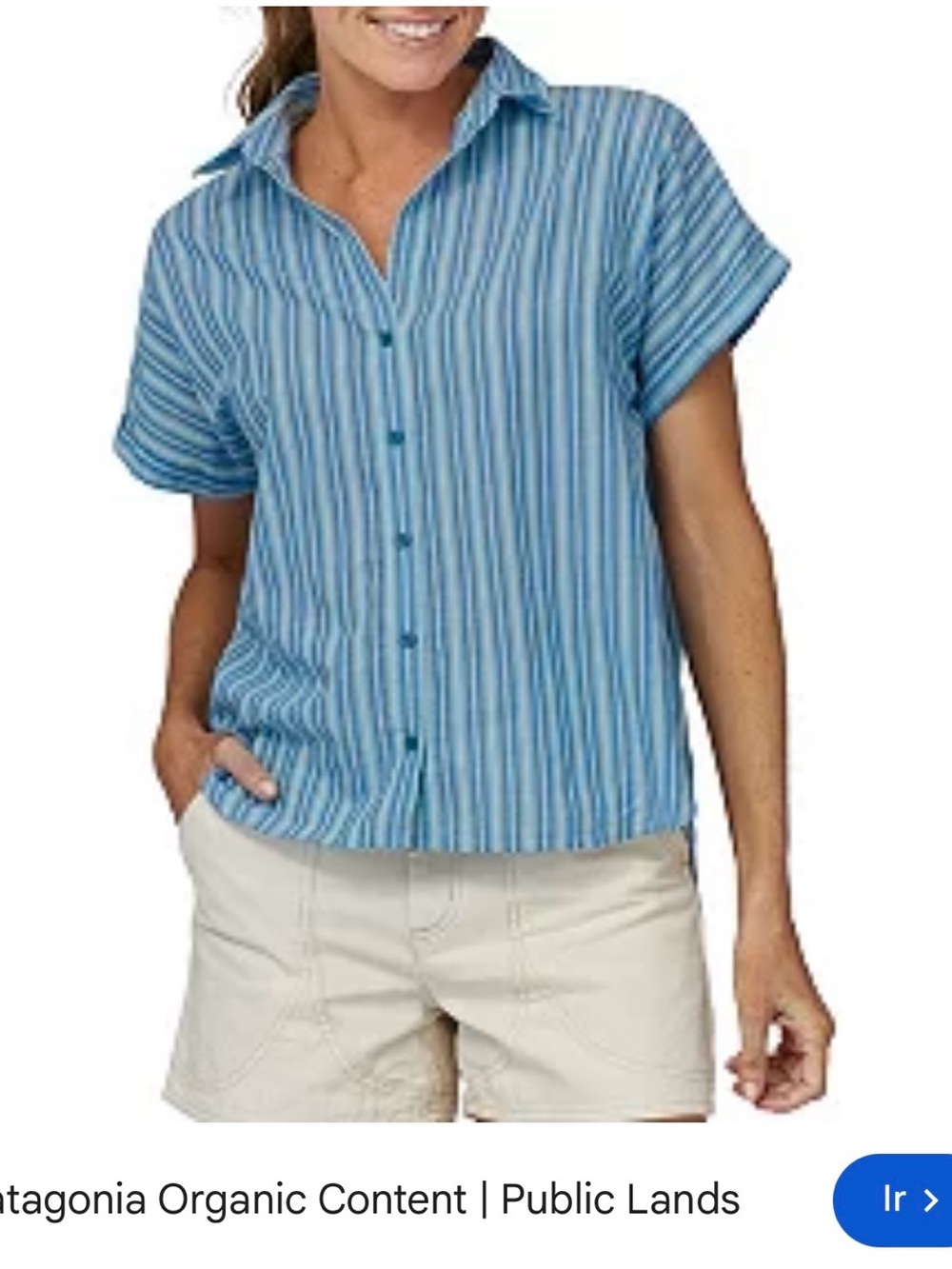 Patagonia Blue Multi-Stripe Short Sleeve Button-Down Shirt